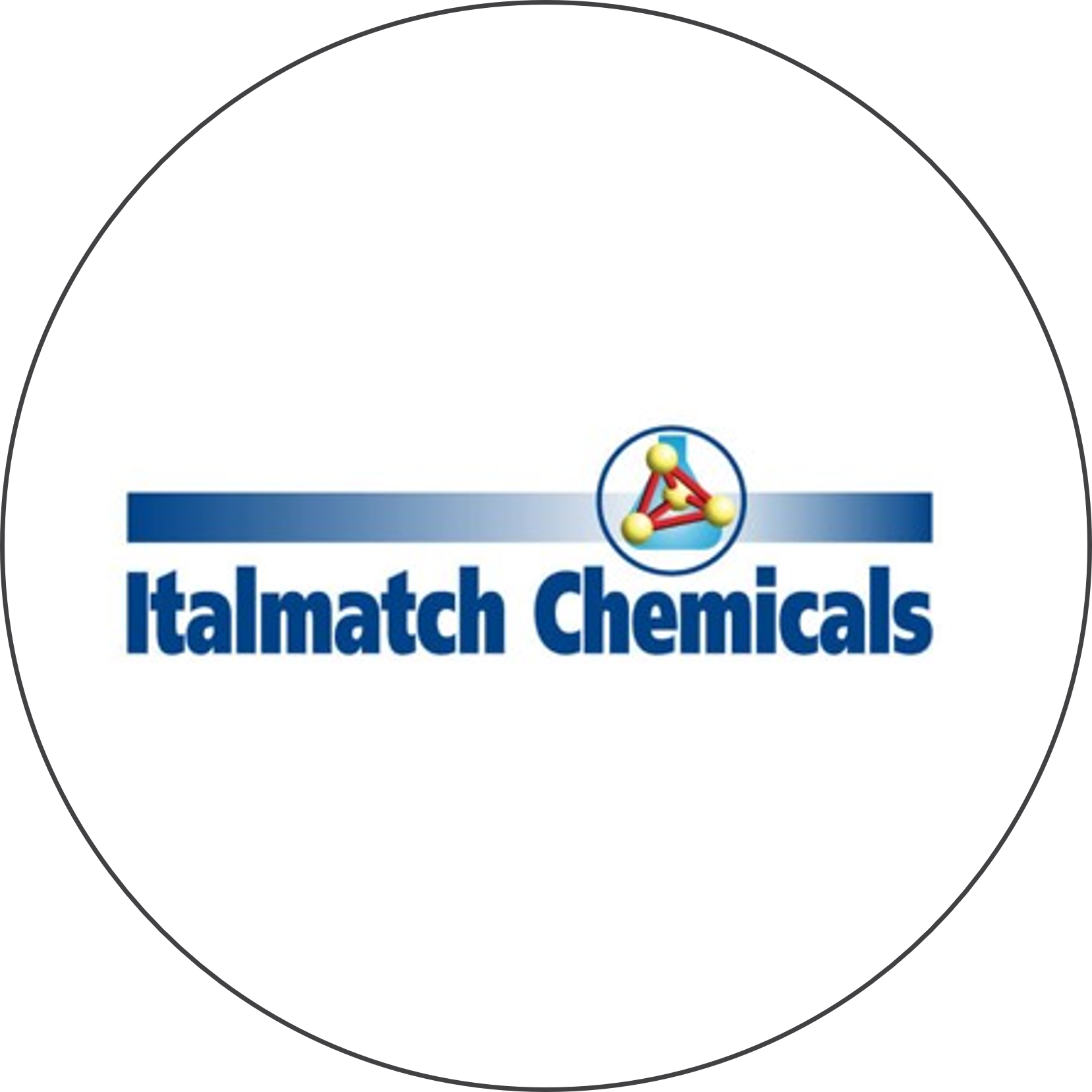 Italmatch Chemicals SPA